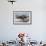 Wyoming, Yellowstone National Park, Northern River Otter Pups Eating Trout-Elizabeth Boehm-Framed Photographic Print displayed on a wall