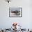 Wyoming, Yellowstone National Park, Northern River Otter Pups Eating Trout-Elizabeth Boehm-Framed Photographic Print displayed on a wall