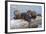 Wyoming, Yellowstone National Park, Northern River Otter Pups Eating Trout-Elizabeth Boehm-Framed Photographic Print