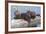 Wyoming, Yellowstone National Park, Northern River Otter Pups Eating Trout-Elizabeth Boehm-Framed Photographic Print