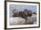 Wyoming, Yellowstone National Park, Northern River Otter Pups Eating Trout-Elizabeth Boehm-Framed Photographic Print