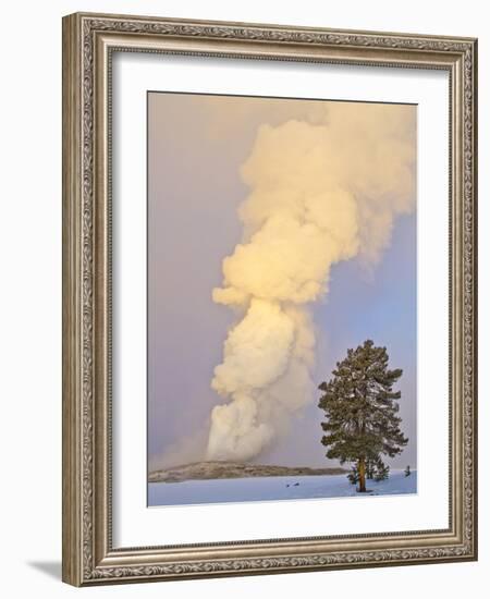 Wyoming, Yellowstone National Park, Old Faithful Geyser Erupting-Elizabeth Boehm-Framed Photographic Print