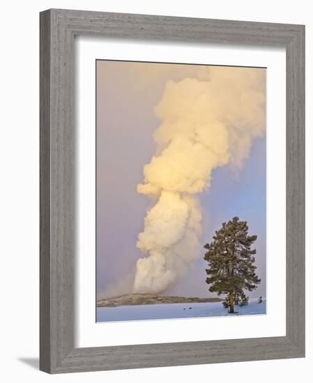 Wyoming, Yellowstone National Park, Old Faithful Geyser Erupting-Elizabeth Boehm-Framed Photographic Print