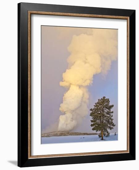 Wyoming, Yellowstone National Park, Old Faithful Geyser Erupting-Elizabeth Boehm-Framed Photographic Print