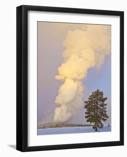 Wyoming, Yellowstone National Park, Old Faithful Geyser Erupting-Elizabeth Boehm-Framed Photographic Print