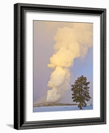 Wyoming, Yellowstone National Park, Old Faithful Geyser Erupting-Elizabeth Boehm-Framed Photographic Print