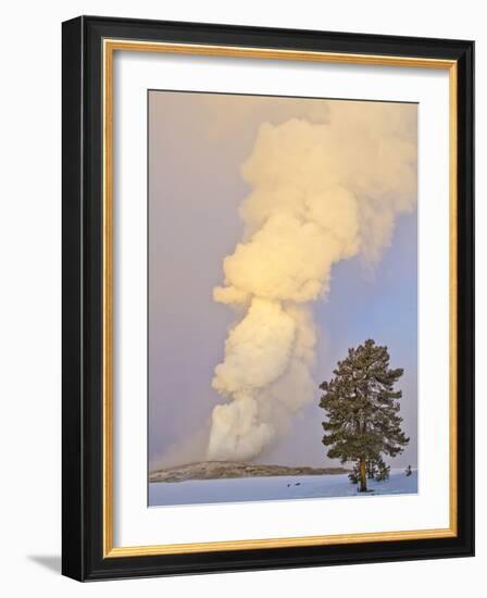 Wyoming, Yellowstone National Park, Old Faithful Geyser Erupting-Elizabeth Boehm-Framed Photographic Print