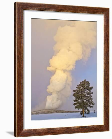 Wyoming, Yellowstone National Park, Old Faithful Geyser Erupting-Elizabeth Boehm-Framed Photographic Print