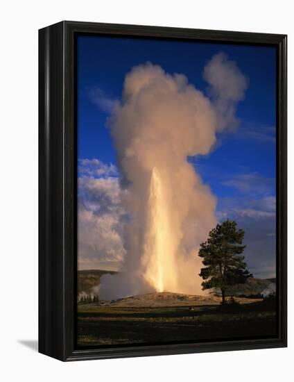 Wyoming, Yellowstone National Park, Old Faithful, Steam and Water Erupting from Thermal Pool-null-Framed Premier Image Canvas