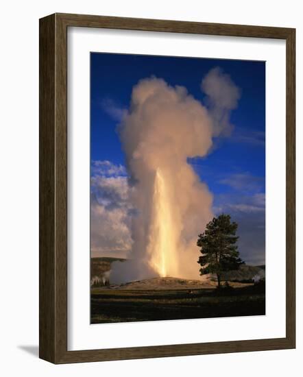 Wyoming, Yellowstone National Park, Old Faithful, Steam and Water Erupting from Thermal Pool-null-Framed Photographic Print