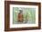 Wyoming, Yellowstone National Park, Yellow Bellied Marmot Sitting on Haunches-Elizabeth Boehm-Framed Photographic Print