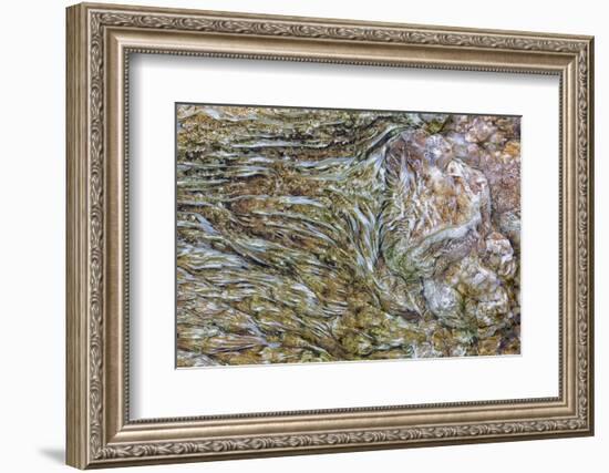 Wyoming, Yellowstone NP, Mammoth Hot Springs. Mineral deposits create patterns-Ellen Goff-Framed Photographic Print