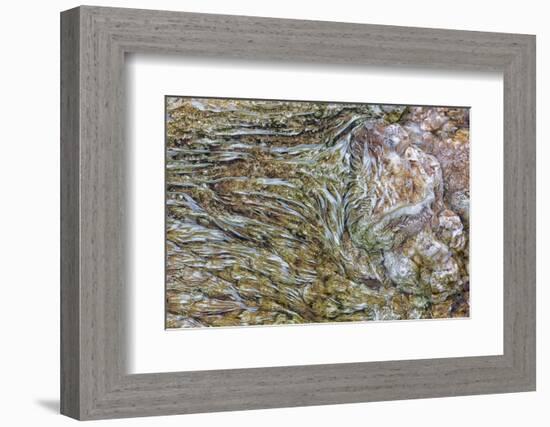 Wyoming, Yellowstone NP, Mammoth Hot Springs. Mineral deposits create patterns-Ellen Goff-Framed Photographic Print