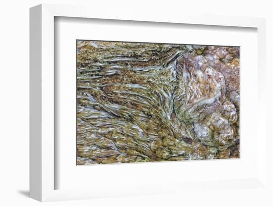Wyoming, Yellowstone NP, Mammoth Hot Springs. Mineral deposits create patterns-Ellen Goff-Framed Photographic Print