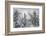 Wyoming, Yellowstone NP, Midway Geyser Basin. Winter scene with snow covered trees-Ellen Goff-Framed Photographic Print