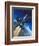 X-15 Rocket Plane-Wilf Hardy-Framed Giclee Print