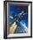 X-15 Rocket Plane-Wilf Hardy-Framed Giclee Print