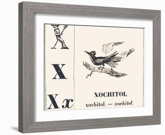 X for Xochitol, 1850 (Engraving)-Louis Simon (1810-1870) Lassalle-Framed Giclee Print