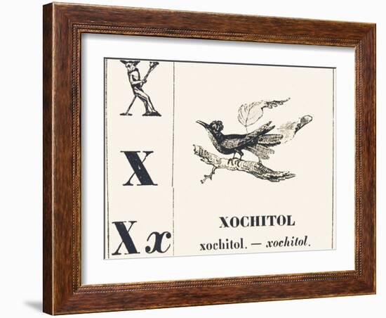 X for Xochitol, 1850 (Engraving)-Louis Simon (1810-1870) Lassalle-Framed Giclee Print