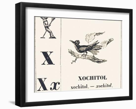 X for Xochitol, 1850 (Engraving)-Louis Simon (1810-1870) Lassalle-Framed Giclee Print