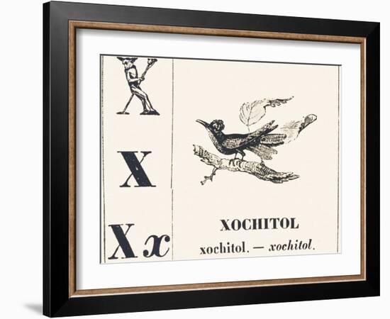 X for Xochitol, 1850 (Engraving)-Louis Simon (1810-1870) Lassalle-Framed Giclee Print