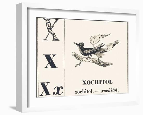 X for Xochitol, 1850 (Engraving)-Louis Simon (1810-1870) Lassalle-Framed Giclee Print