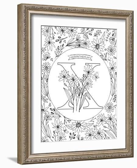 X is for Xeranthemum-Heather Rosas-Framed Art Print