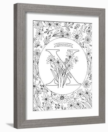 X is for Xeranthemum-Heather Rosas-Framed Art Print