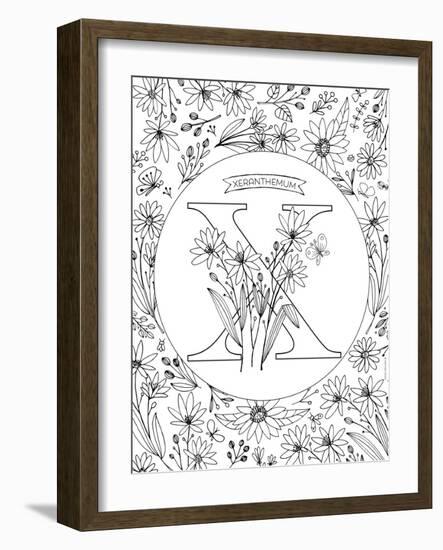 X is for Xeranthemum-Heather Rosas-Framed Art Print