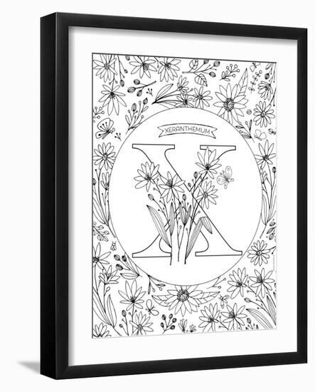 X is for Xeranthemum-Heather Rosas-Framed Art Print