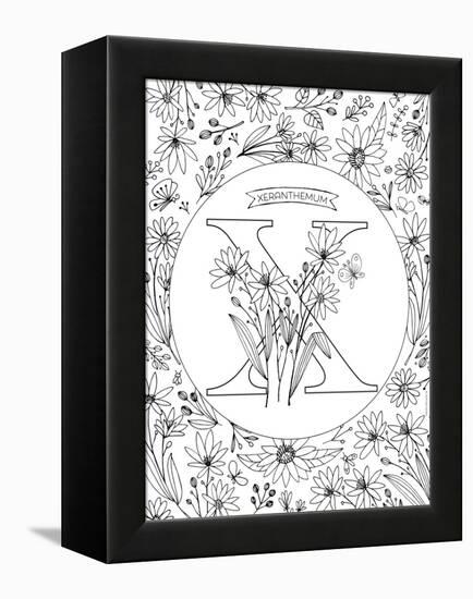 X is for Xeranthemum-Heather Rosas-Framed Stretched Canvas