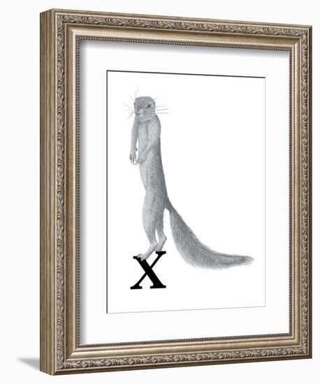 X is for Xerus-Stacy Hsu-Framed Art Print