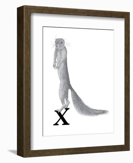 X is for Xerus-Stacy Hsu-Framed Art Print