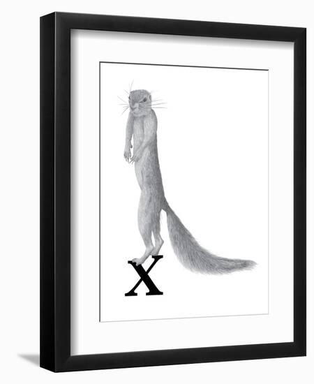 X is for Xerus-Stacy Hsu-Framed Art Print