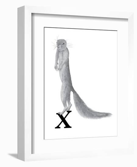 X is for Xerus-Stacy Hsu-Framed Art Print