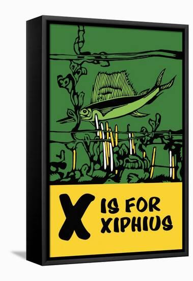 X is for Xiphius-Charles Buckles Falls-Framed Stretched Canvas