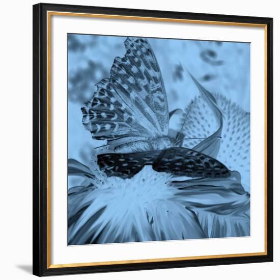 X-Ray Butterfly 1-Brago-Framed Art Print