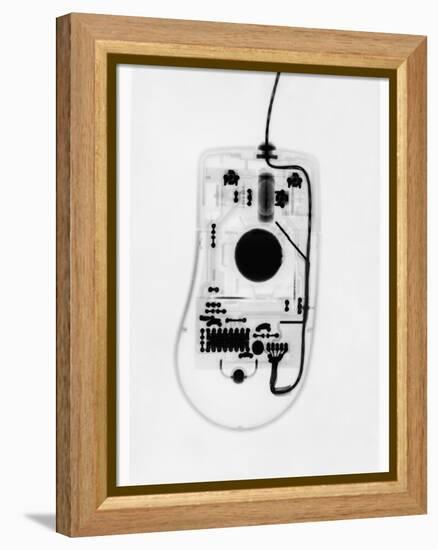 X-Ray of a Computer Mouse-Chris Rogers-Framed Premier Image Canvas