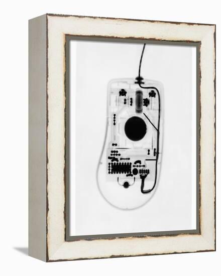 X-Ray of a Computer Mouse-Chris Rogers-Framed Premier Image Canvas