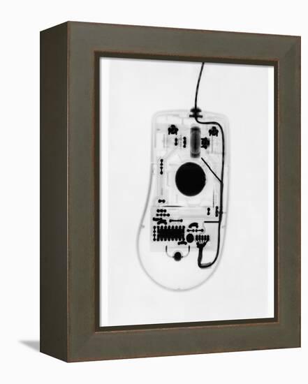 X-Ray of a Computer Mouse-Chris Rogers-Framed Premier Image Canvas