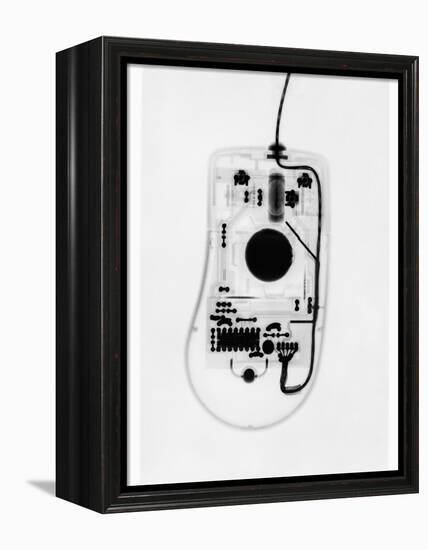 X-Ray of a Computer Mouse-Chris Rogers-Framed Premier Image Canvas