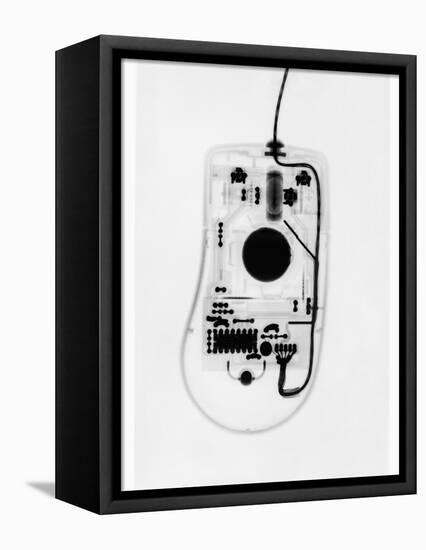 X-Ray of a Computer Mouse-Chris Rogers-Framed Premier Image Canvas