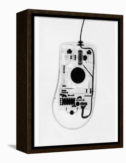 X-Ray of a Computer Mouse-Chris Rogers-Framed Premier Image Canvas