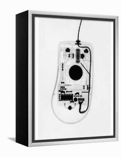 X-Ray of a Computer Mouse-Chris Rogers-Framed Premier Image Canvas