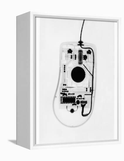 X-Ray of a Computer Mouse-Chris Rogers-Framed Premier Image Canvas