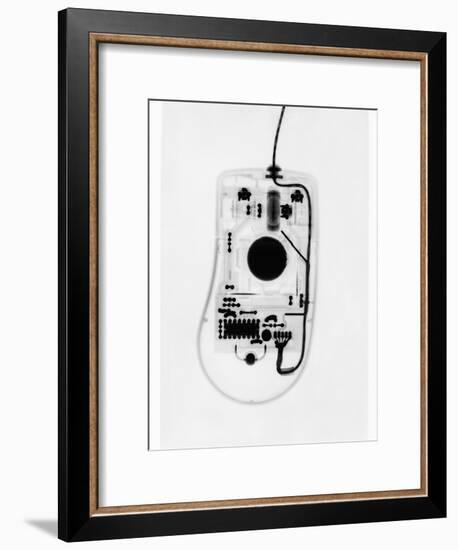 X-Ray of a Computer Mouse-Chris Rogers-Framed Photographic Print