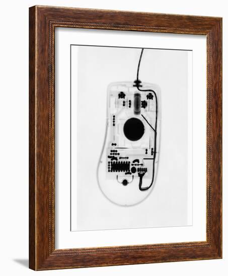 X-Ray of a Computer Mouse-Chris Rogers-Framed Photographic Print