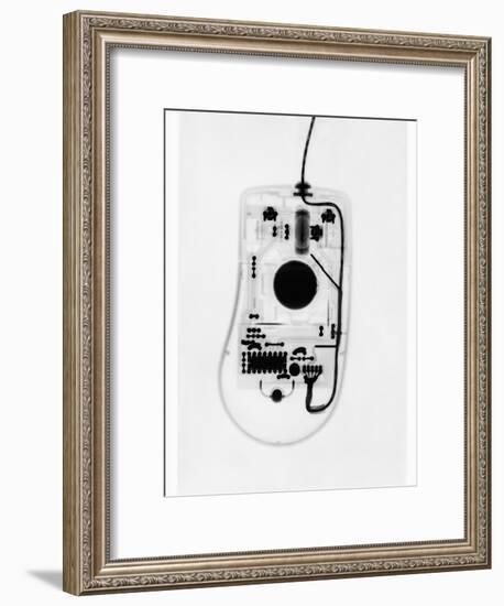 X-Ray of a Computer Mouse-Chris Rogers-Framed Photographic Print