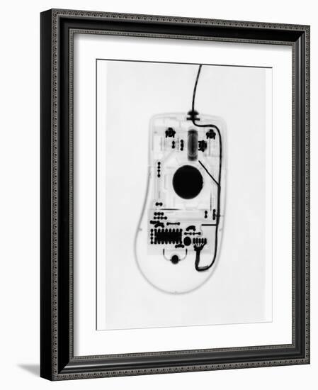 X-Ray of a Computer Mouse-Chris Rogers-Framed Photographic Print