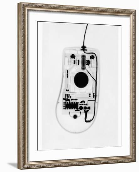 X-Ray of a Computer Mouse-Chris Rogers-Framed Photographic Print